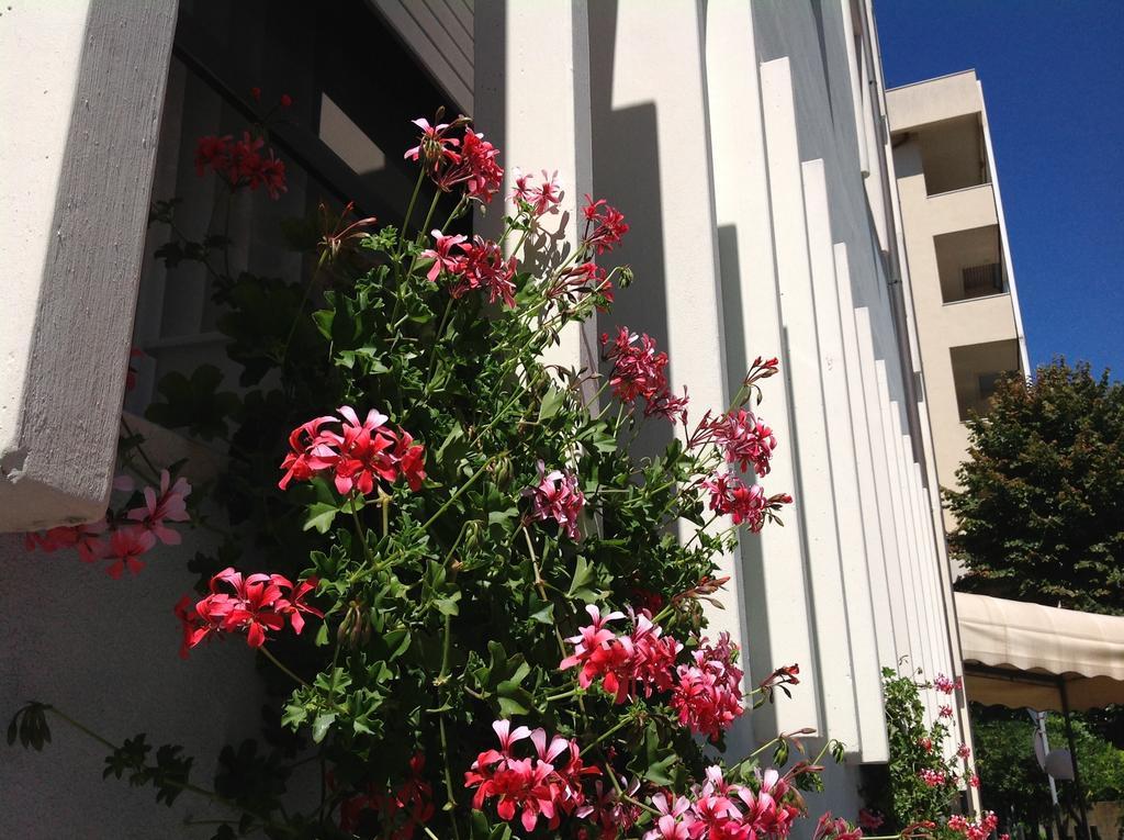 Hotel Arpa ริมินี ภายนอก รูปภาพ